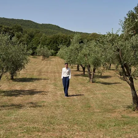 Borgo Gallinaio Bed and Breakfast